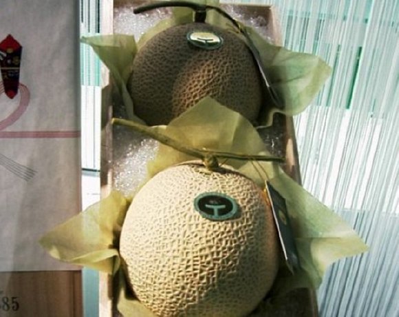 Two Yubari Melons sold at auction.