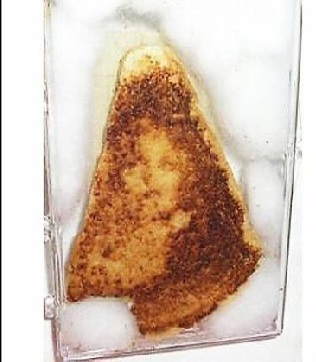Virgin Mary image on grilled cheese sandwich sold on eBay auction.
